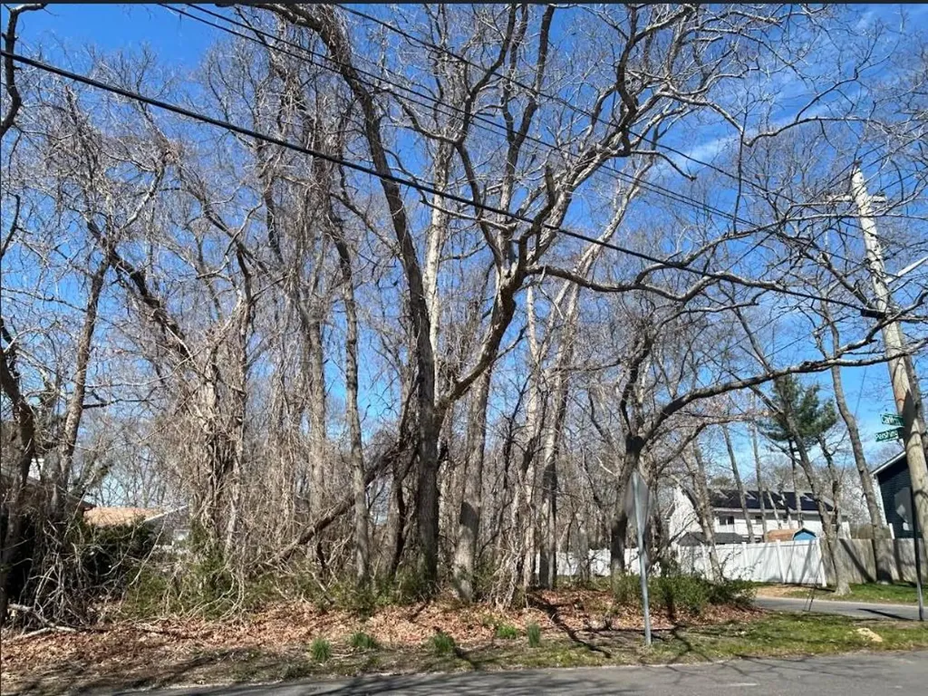 Carlton Avenue Mastic NY 11950