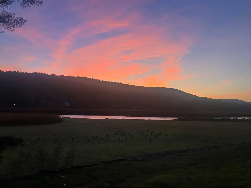 23 River Road Callicoon NY 12723