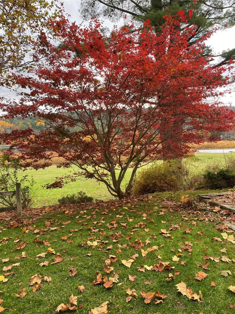 23 River Road Callicoon NY 12723