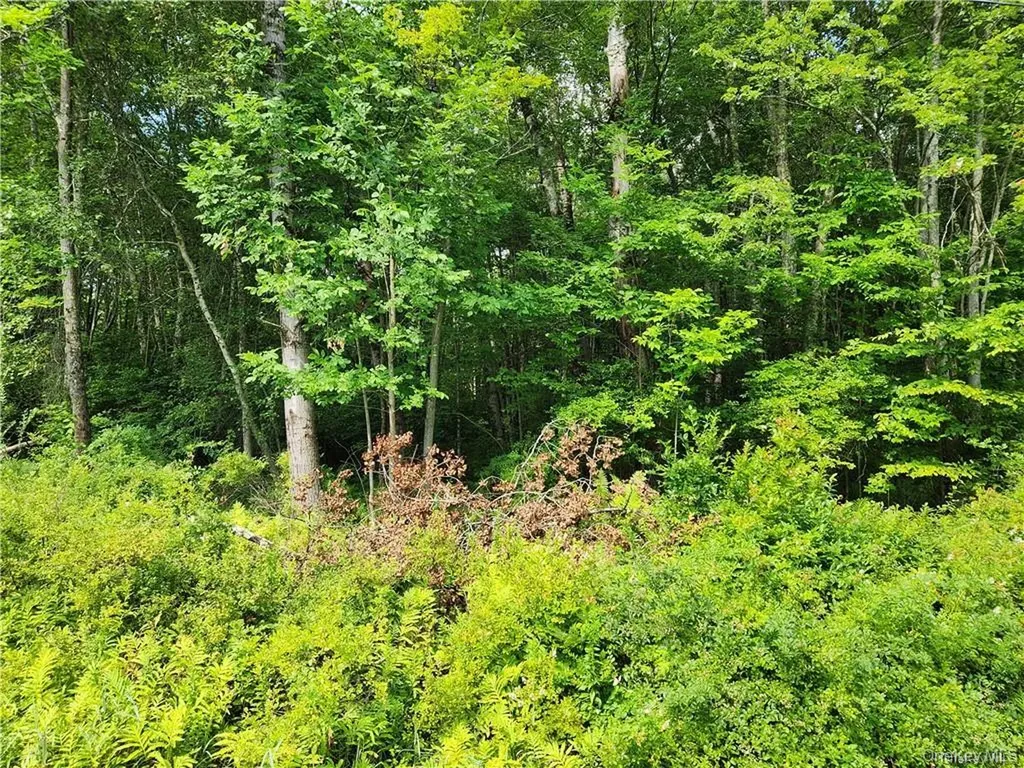 2.-1-32.7 State Route 17b Cochecton NY 12726