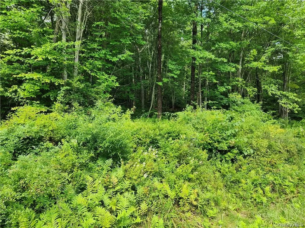 2.-1-32.7 State Route 17b Cochecton NY 12726