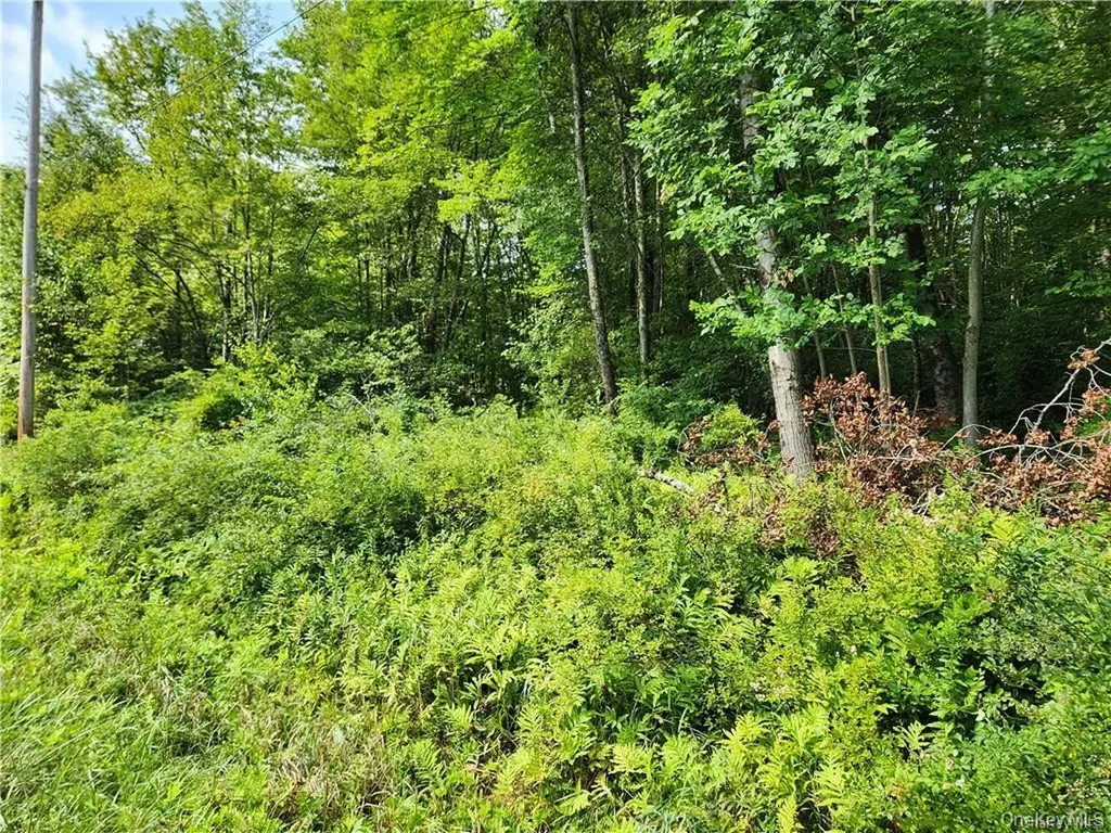 2.-1-32.7 State Route 17b Cochecton NY 12726