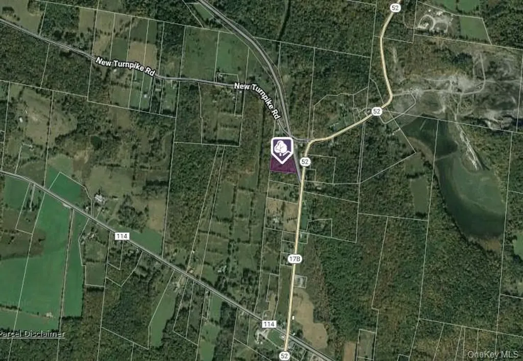 2.-1-32.7 State Route 17b Cochecton NY 12726