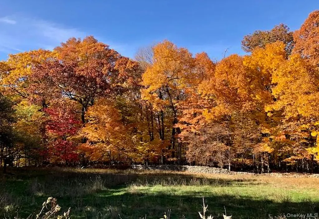 47 Mine Hill Road Cornwall NY 12518
