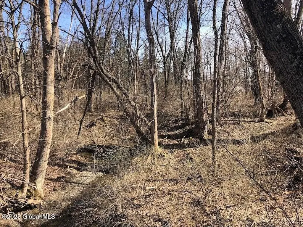 21920 Ny-22 Call Listing Agent NY 12090