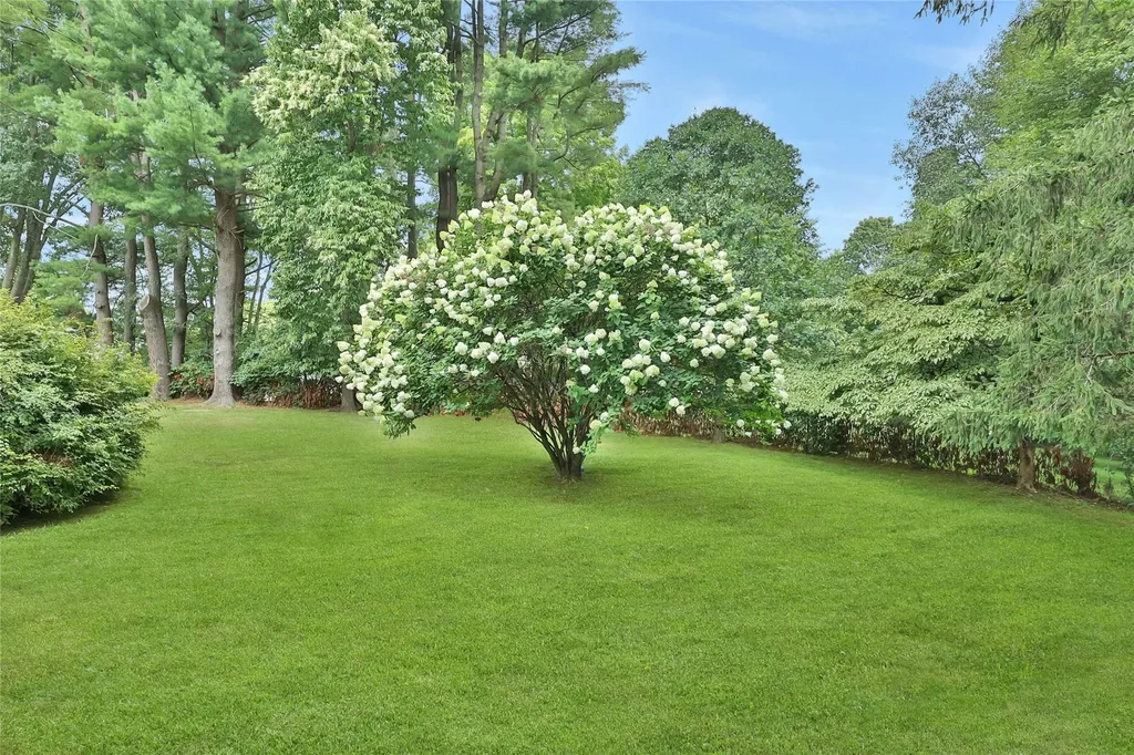6 Noyes Road Mount Kisco NY 10549