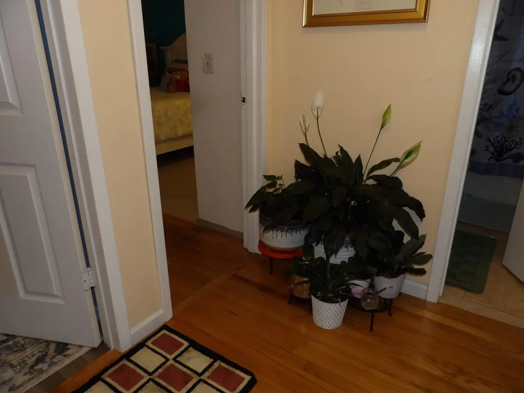 2749 Schleigel Boulevard Amityville NY 11701
