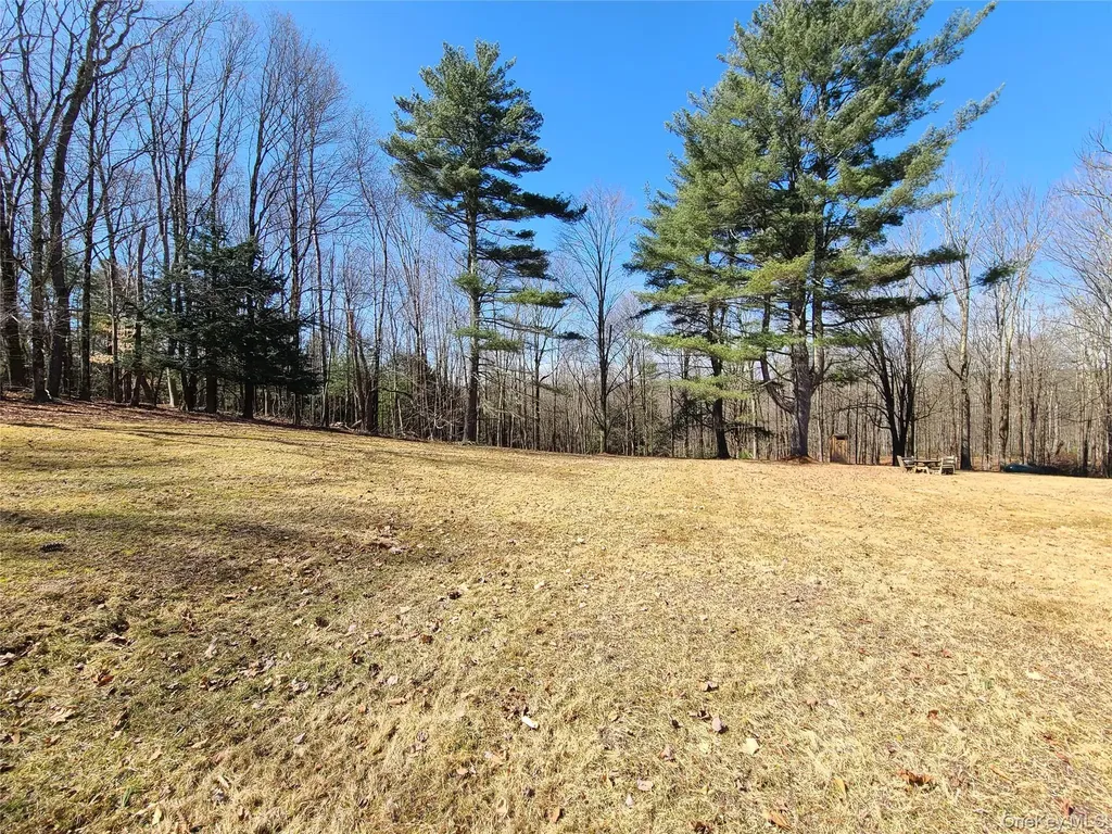 1095 State Route 17b Mongaup Valley NY 12762