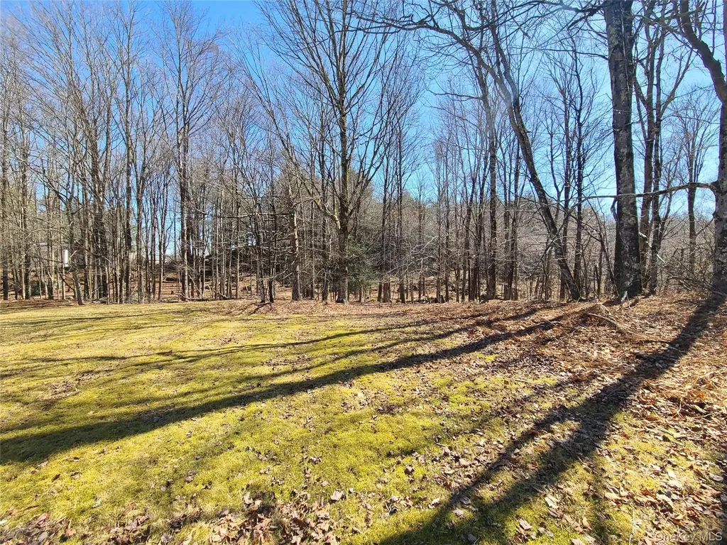1095 State Route 17b Mongaup Valley NY 12762