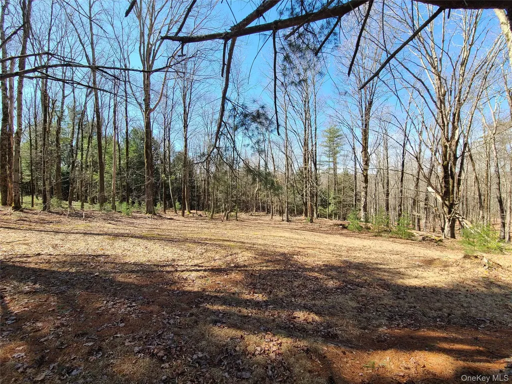 1095 State Route 17b Mongaup Valley NY 12762