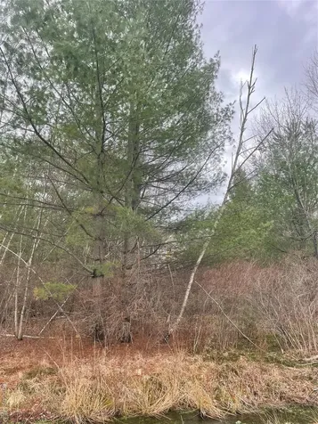 39 Birch Lane Swan Lake NY 12783