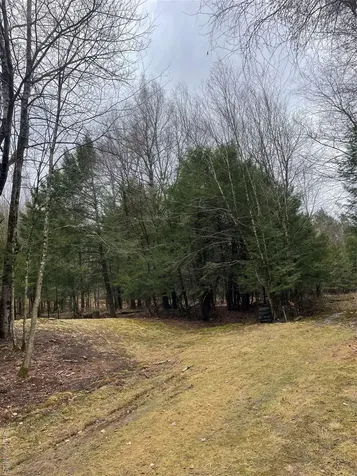 39 Birch Lane Swan Lake NY 12783