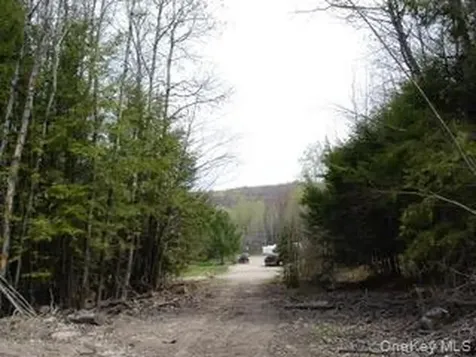 39 Birch Lane Swan Lake NY 12783