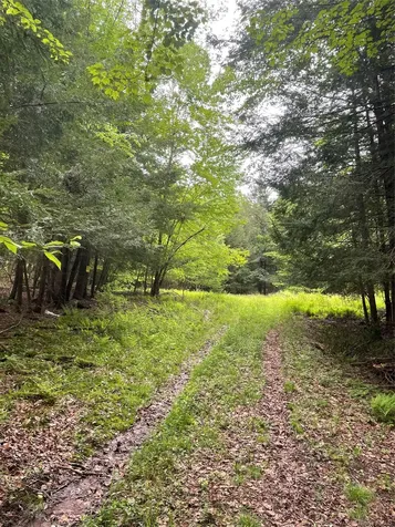 39 Birch Lane Swan Lake NY 12783