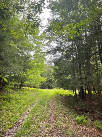 39 Birch Lane Swan Lake NY 12783
