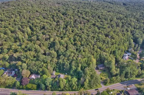 39 Birch Lane Swan Lake NY 12783