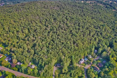 39 Birch Lane Swan Lake NY 12783