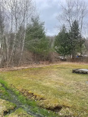 39 Birch Lane Swan Lake NY 12783