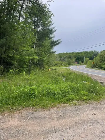 39 Birch Lane Swan Lake NY 12783