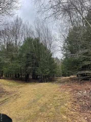 39 Birch Lane Swan Lake NY 12783