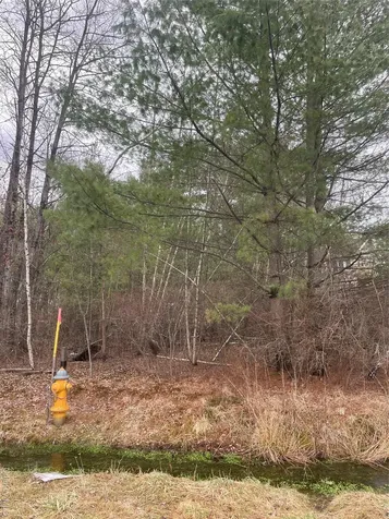 39 Birch Lane Swan Lake NY 12783