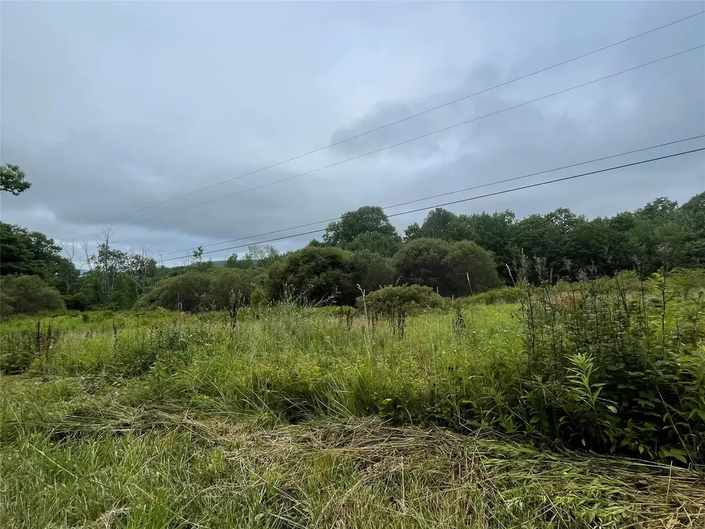 Basil Todd Road Fleischmanns NY 12430