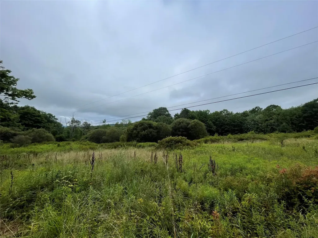 Basil Todd Road Fleischmanns NY 12430