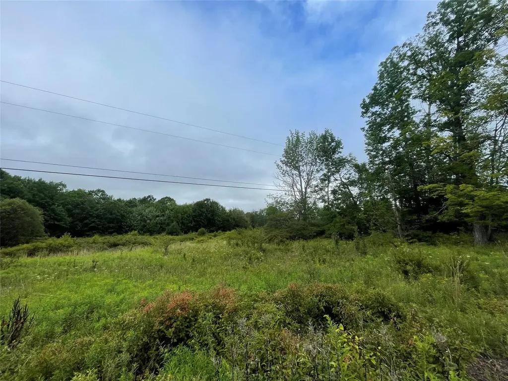 Basil Todd Road Fleischmanns NY 12430
