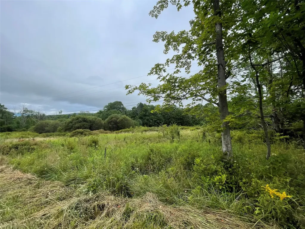 Basil Todd Road Fleischmanns NY 12430