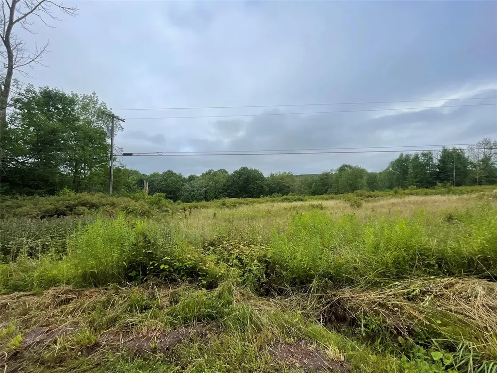 Basil Todd Road Fleischmanns NY 12430