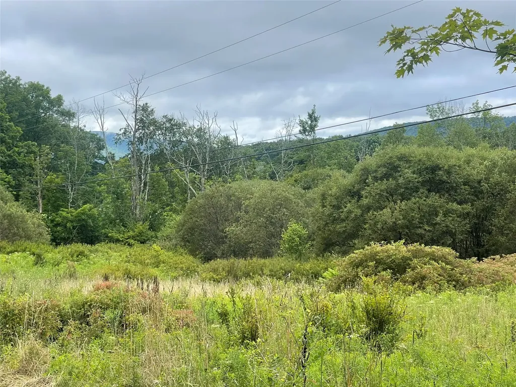 Basil Todd Road Fleischmanns NY 12430