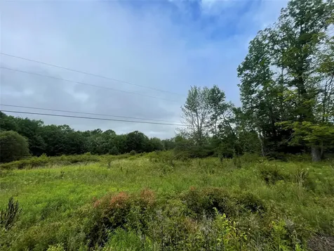 Basil Todd Road Fleischmanns NY 12430