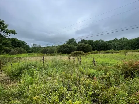 Basil Todd Road Fleischmanns NY 12430