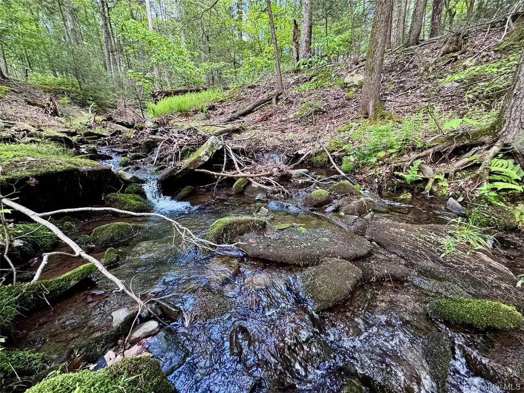 94 The Middle Way Mount Tremper NY 12457