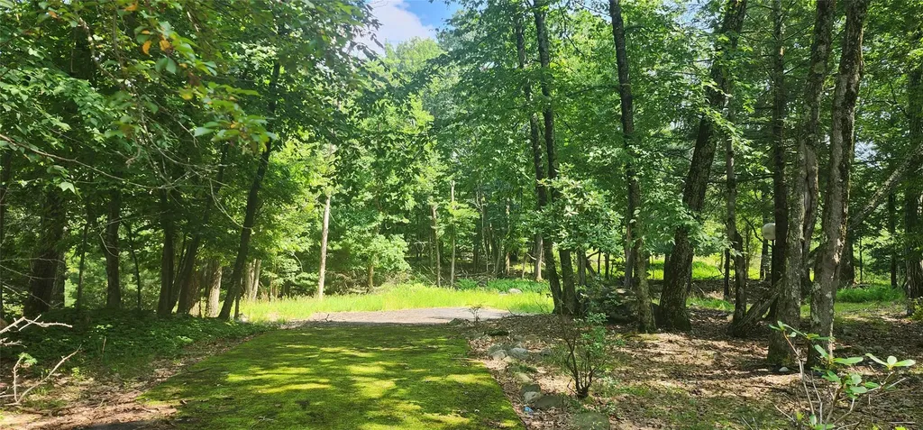 64 Pebble Path Rock Hill NY 12775