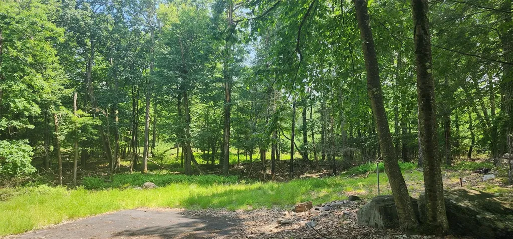 64 Pebble Path Rock Hill NY 12775