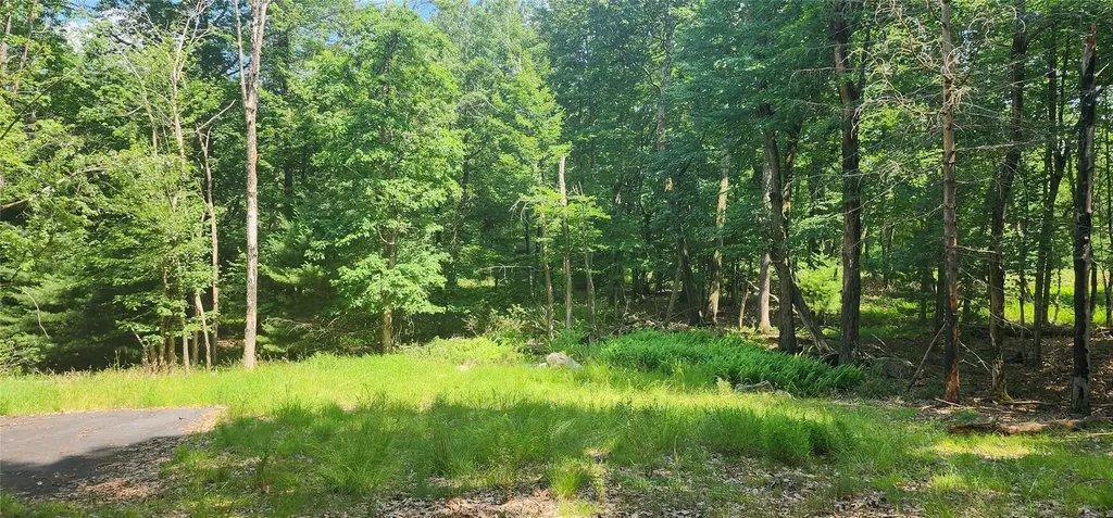 64 Pebble Path Rock Hill NY 12775