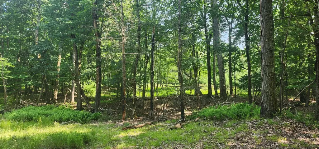 64 Pebble Path Rock Hill NY 12775