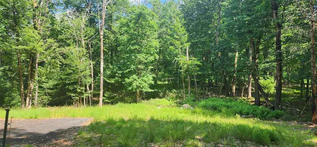 64 Pebble Path Rock Hill NY 12775