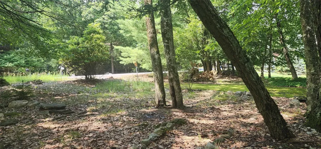 64 Pebble Path Rock Hill NY 12775