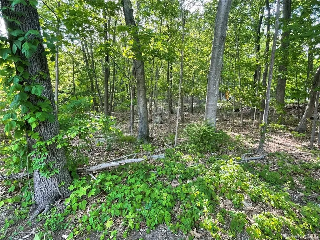 75 Birch Paper Trail Carmel NY 10512