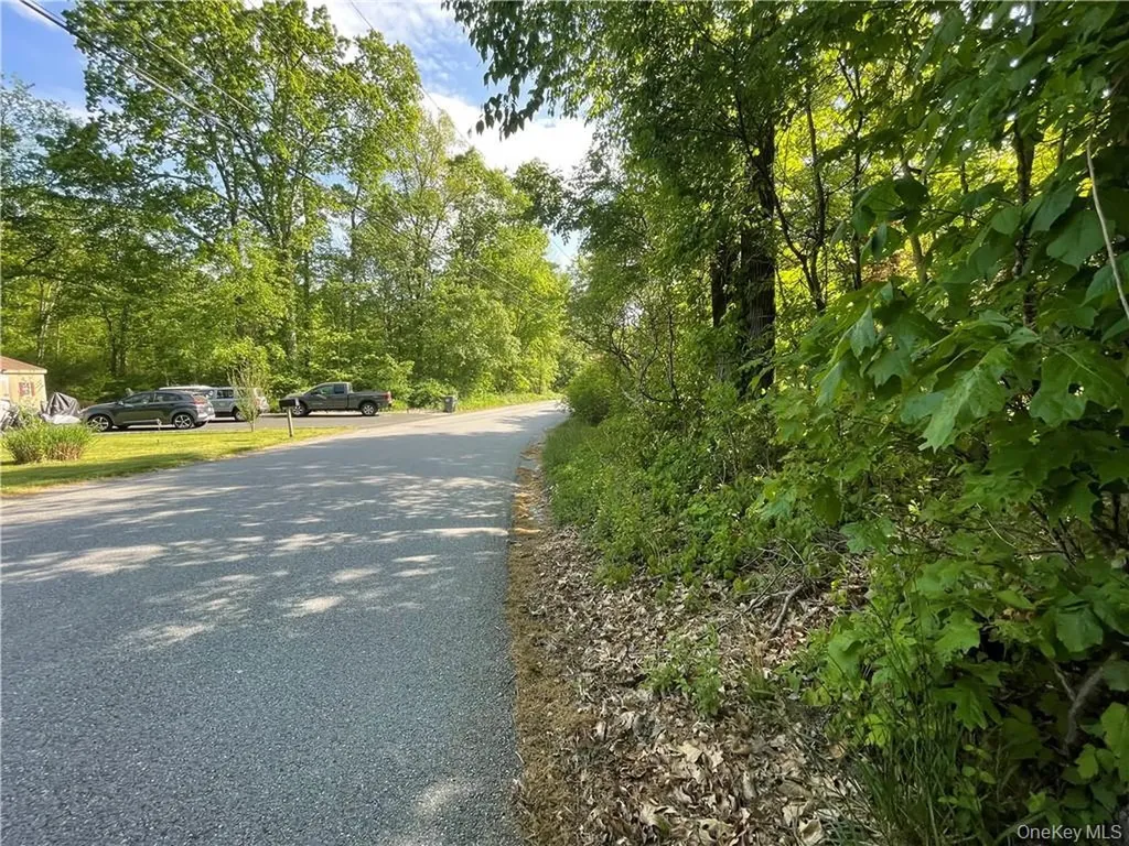 75 Birch Paper Trail Carmel NY 10512