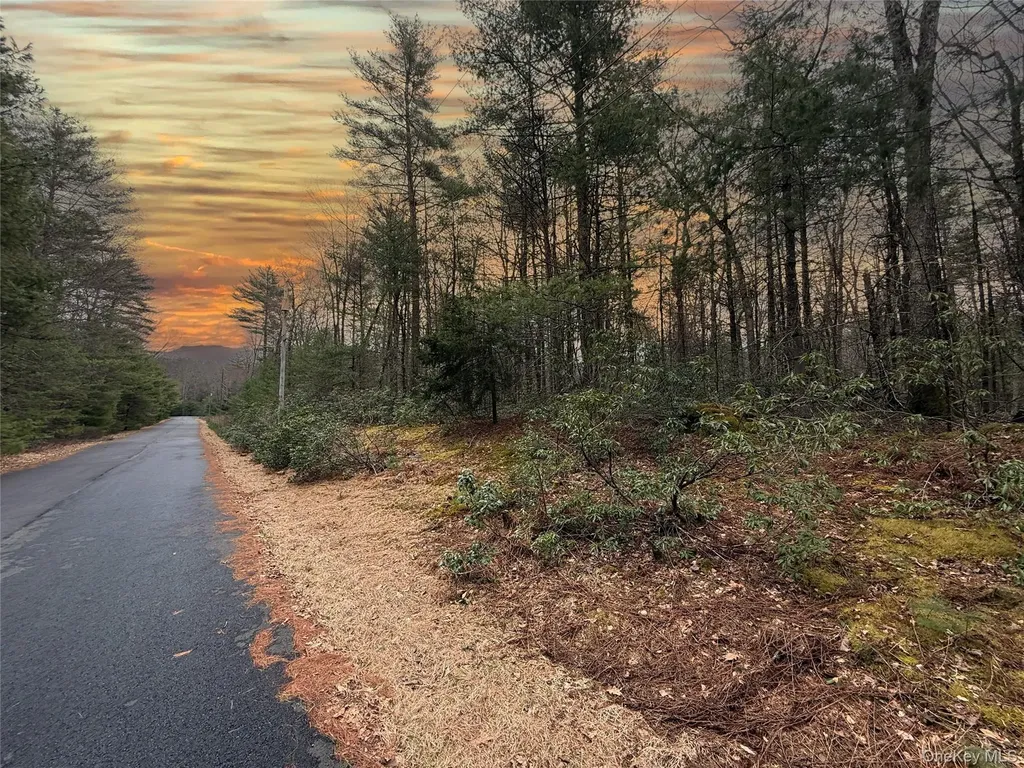 Summit Drive Barryville NY 12792