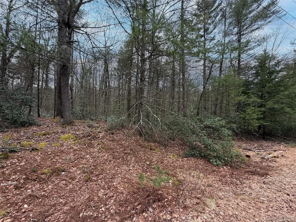 Summit Drive Barryville NY 12792