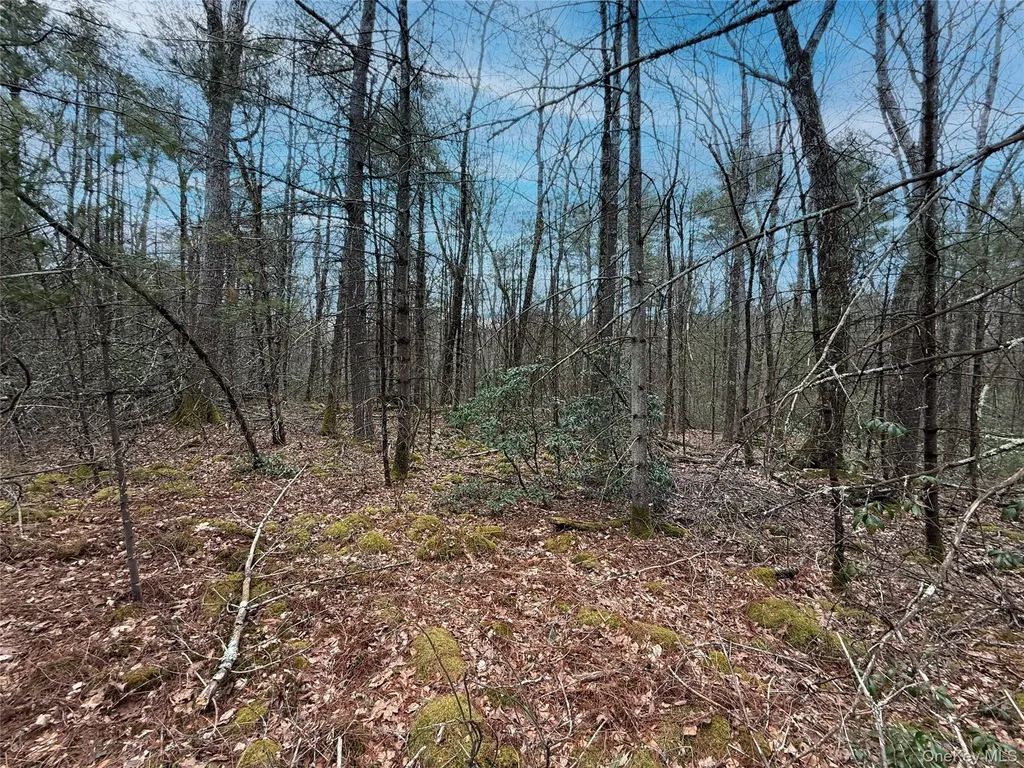 Summit Drive Barryville NY 12792