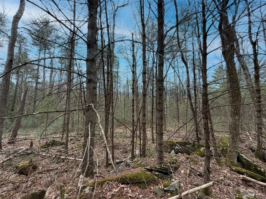 Summit Drive Barryville NY 12792