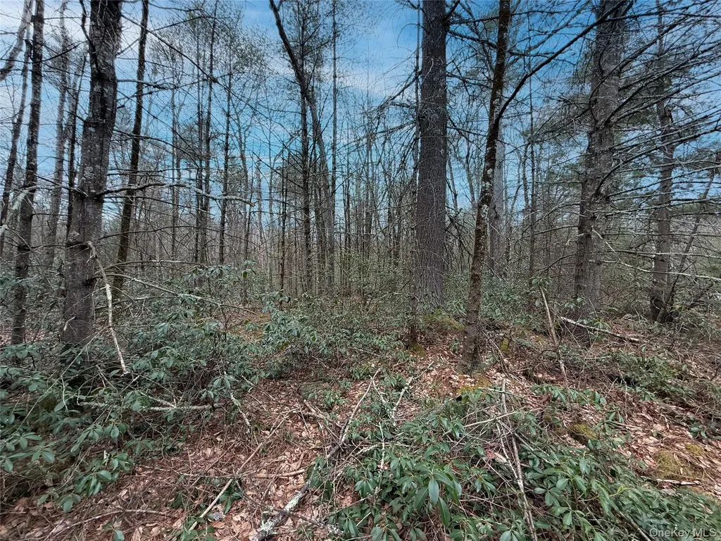 Summit Drive Barryville NY 12792