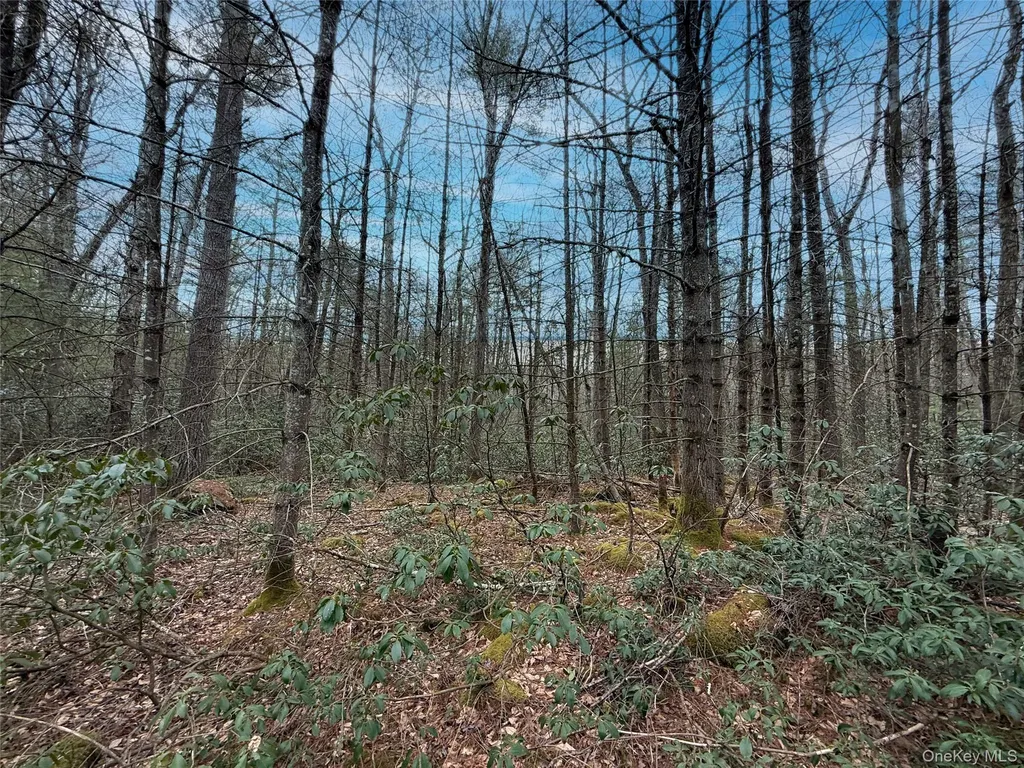 Summit Drive Barryville NY 12792