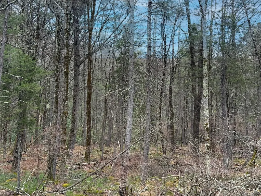 Summit Drive Barryville NY 12792