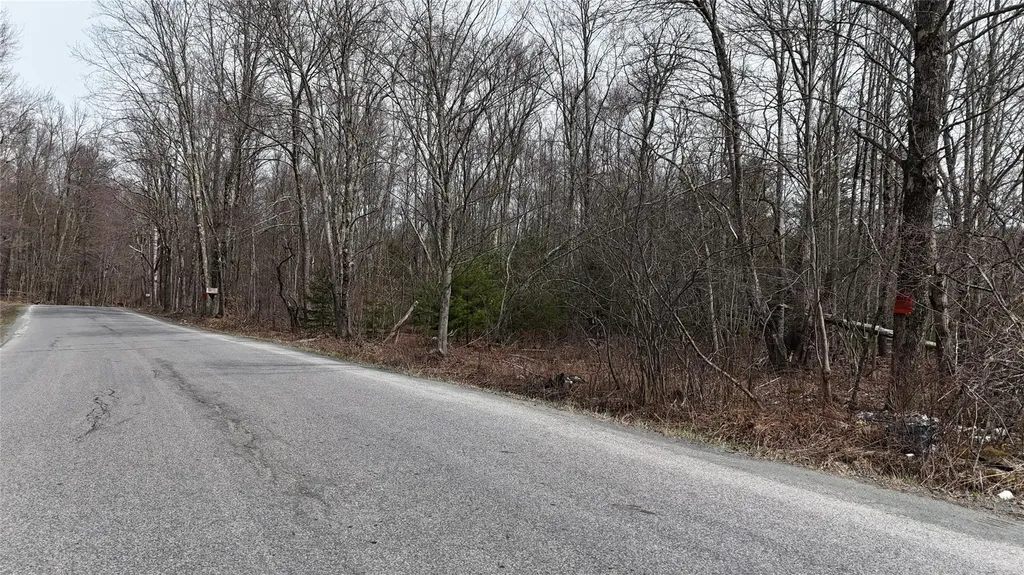 Hasbrouck A Road Fallsburg NY 12733